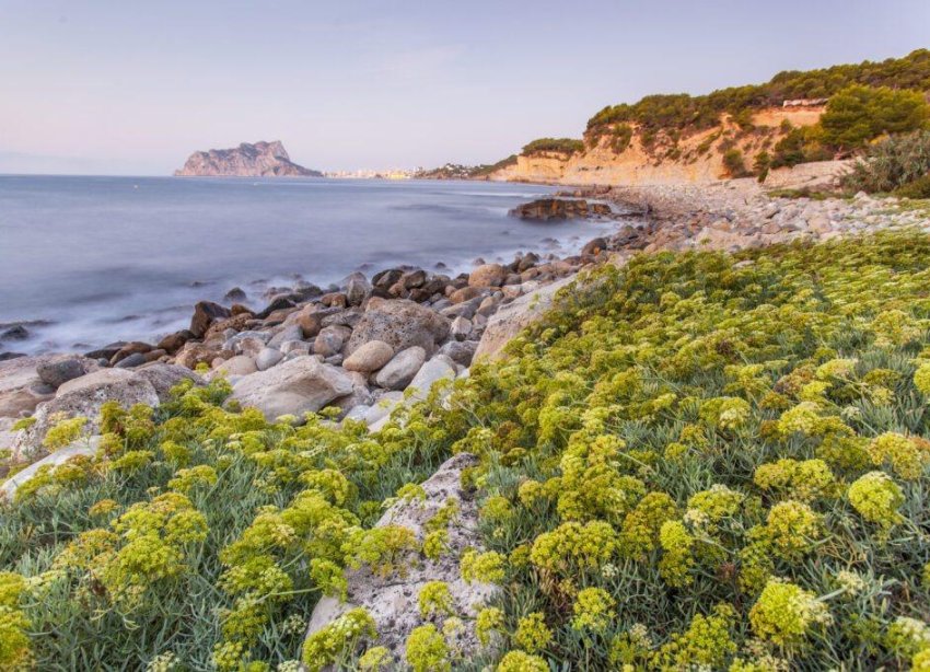 New Build - Villa - Benissa