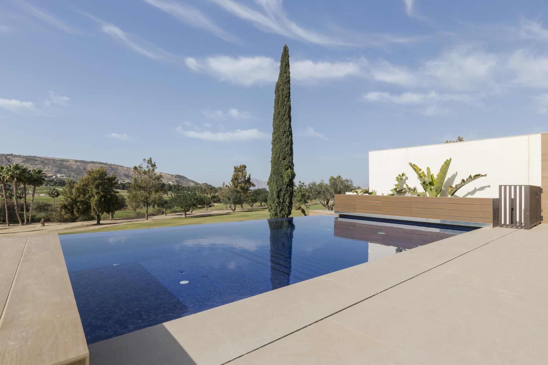 New Build - Villa / House - Algorfa