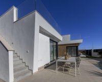 New Build - Villa / House - Baños y Mendigo