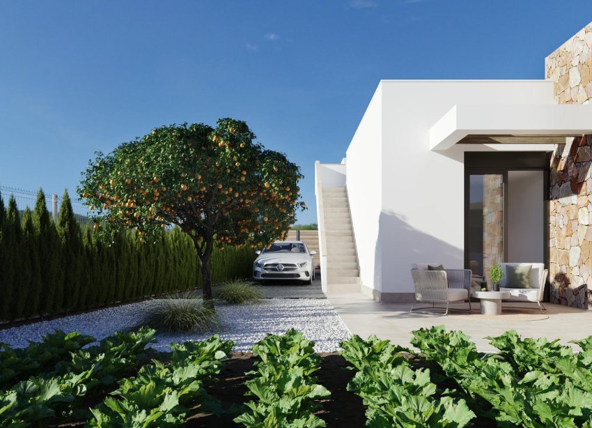 New Build - Villa / House - Fuente Álamo - Fuente Alamo
