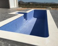 New Build - Villa / House - Pinoso