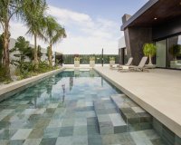 New Build - Villa / House - Rojales