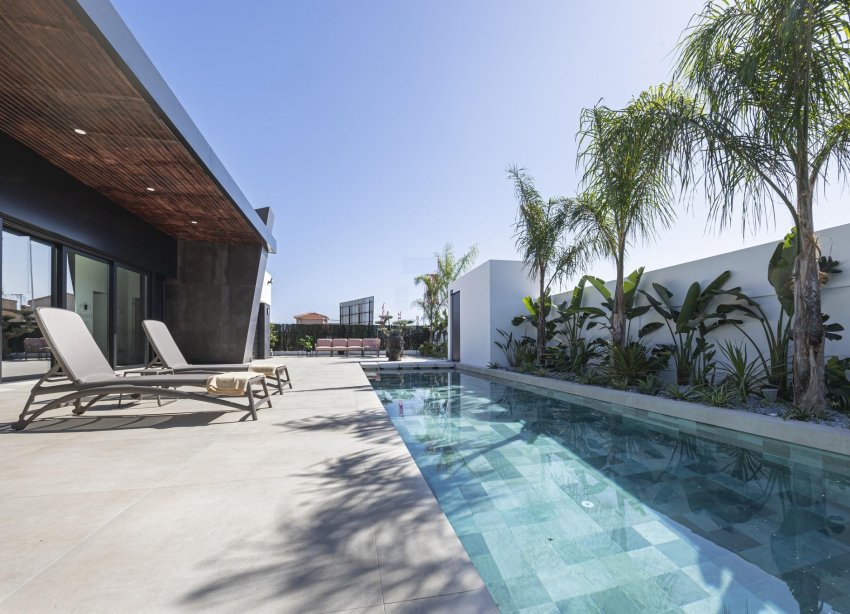New Build - Villa / House - Rojales