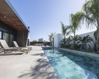 New Build - Villa / House - Rojales