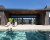 New Build - Villa / House - Rojales