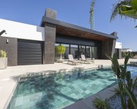 New Build - Villa / House - Rojales