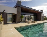New Build - Villa / House - Rojales