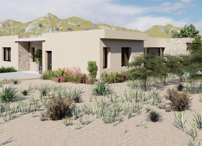 New Build - Villa / House - Yecla