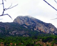 New Build - Villa - La Romana