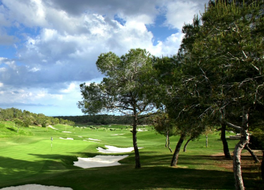 New Build - Villa - Las Colinas - Las Colinas Golf