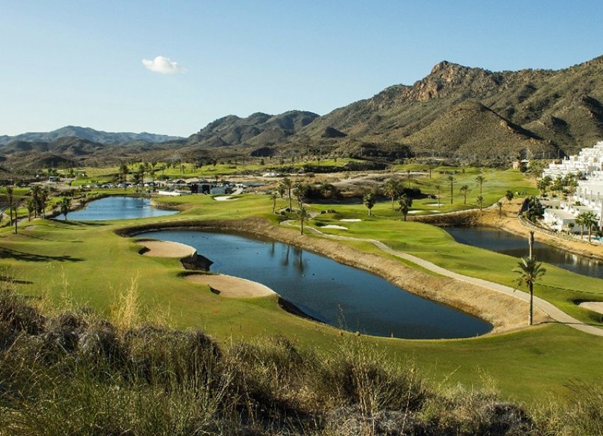 New Build - Villa - Mar de Pulpi