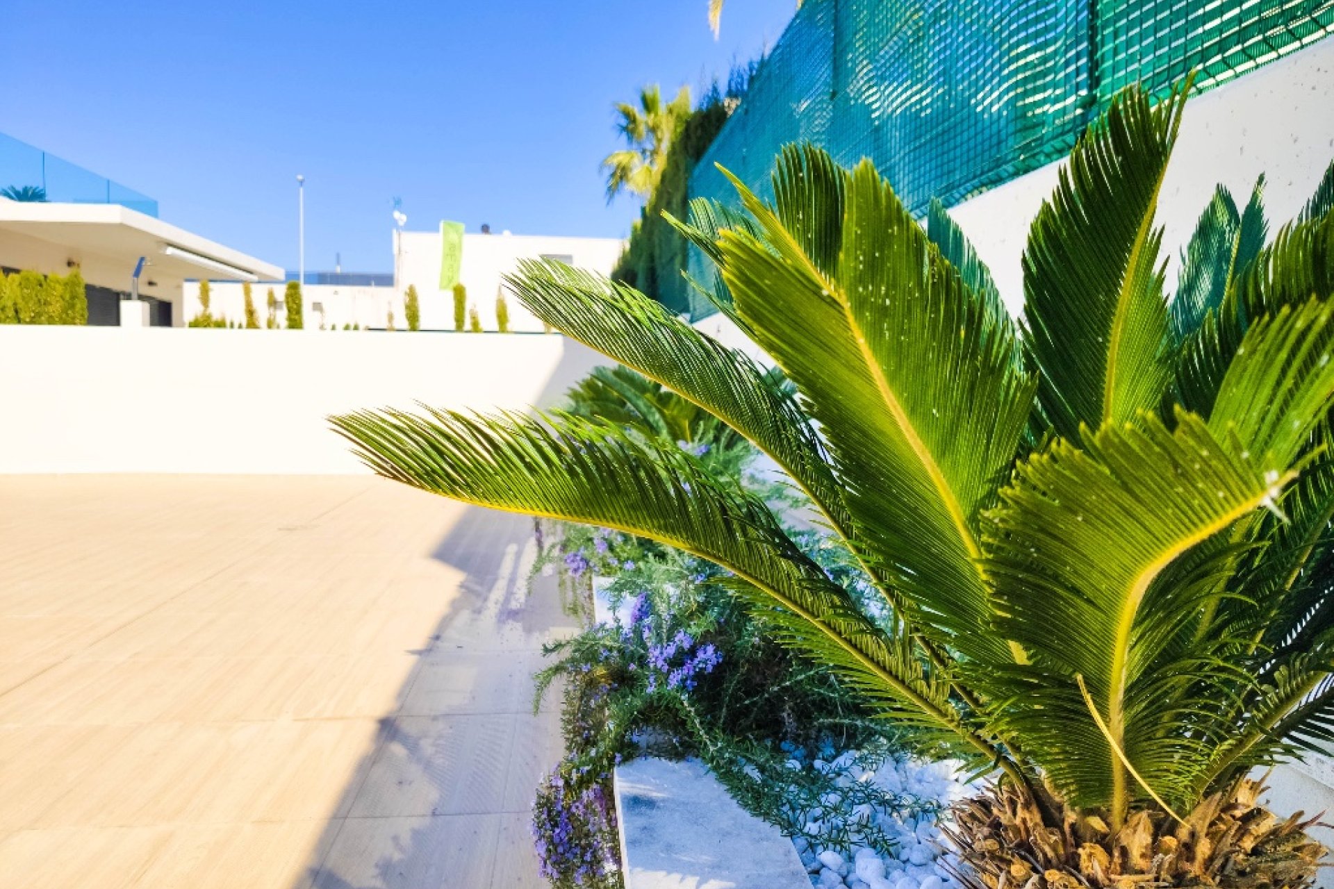 New Build - Villa - Orihuela Costa - Dehesa De Campoamor