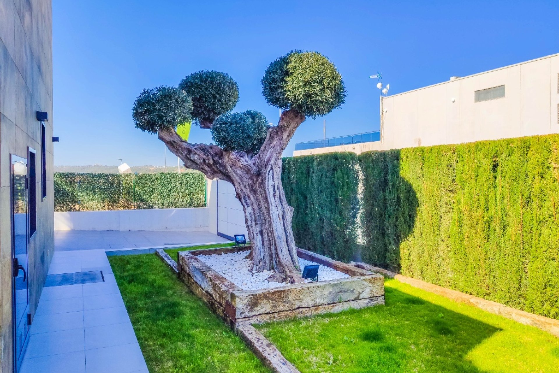 New Build - Villa - Orihuela Costa - Dehesa De Campoamor