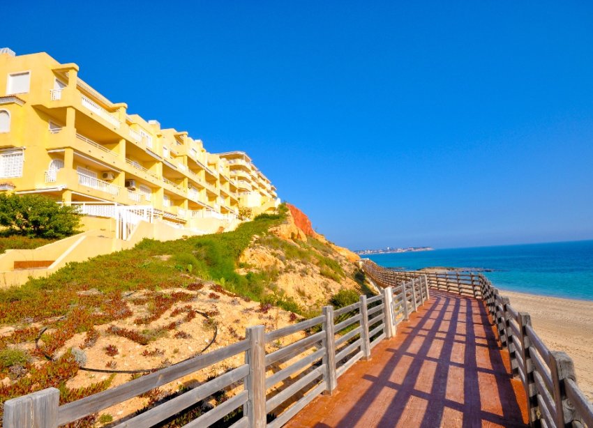 New Build - Villa - Orihuela Costa - Dehesa De Campoamor