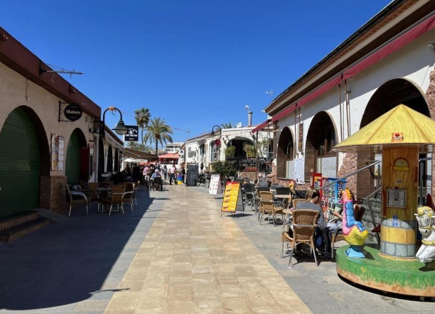 New Build - Villa - Pilar de la Horadada