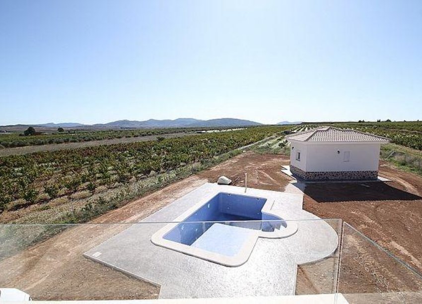 New Build - Villa - Pinoso - Camino Del Prado