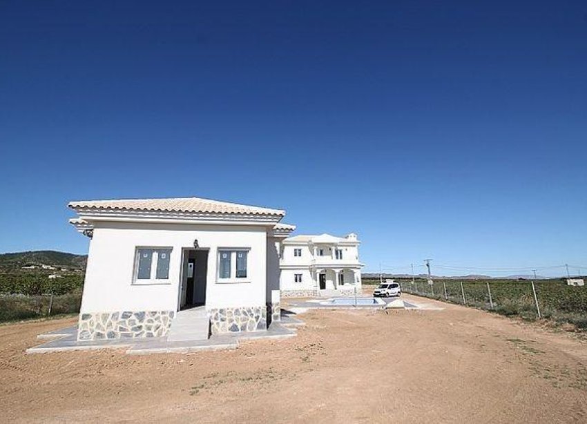 New Build - Villa - Pinoso - Camino Del Prado