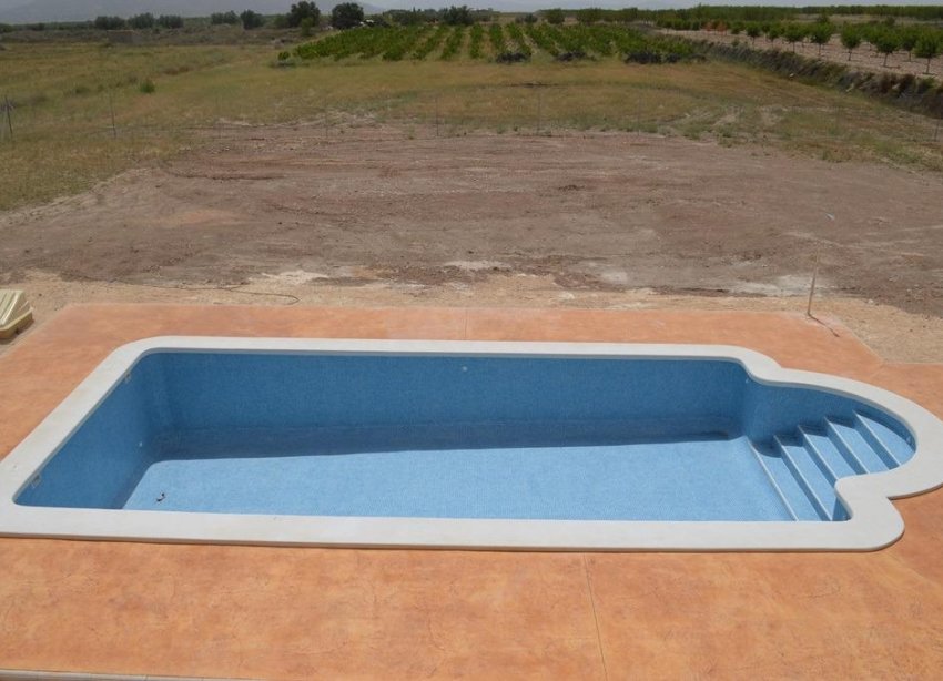 New Build - Villa - Pinoso - Camino Del Prado