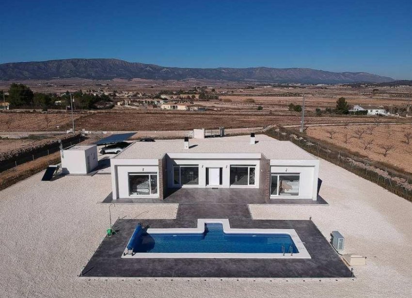 New Build - Villa - Pinoso - Camino Del Prado