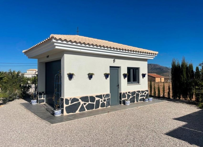 New Build - Villa - Pinoso - Camino Del Prado