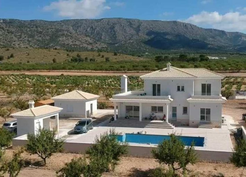 New Build - Villa - Pinoso - Camino Del Prado