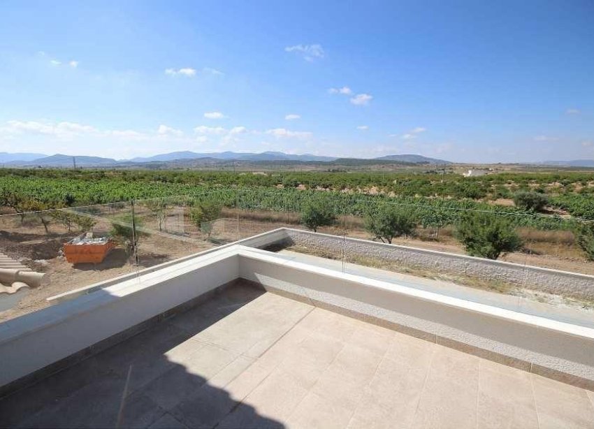 New Build - Villa - Pinoso - Camino Del Prado