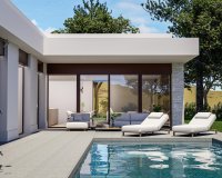 New Build - Villa - Pinoso - Lel