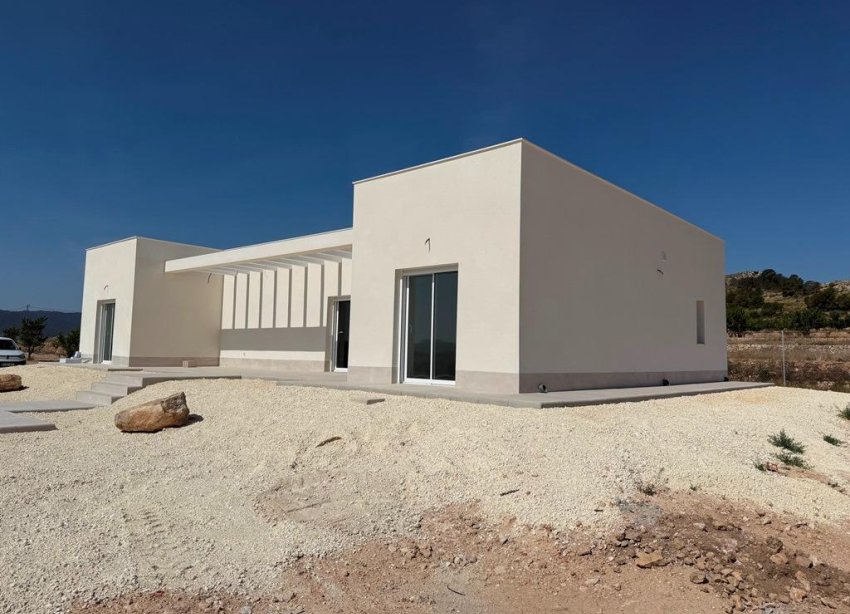 New Build - Villa - Pinoso