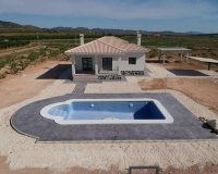 New Build - Villa - Pinoso