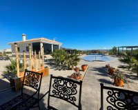 New Build - Villa - Pinoso