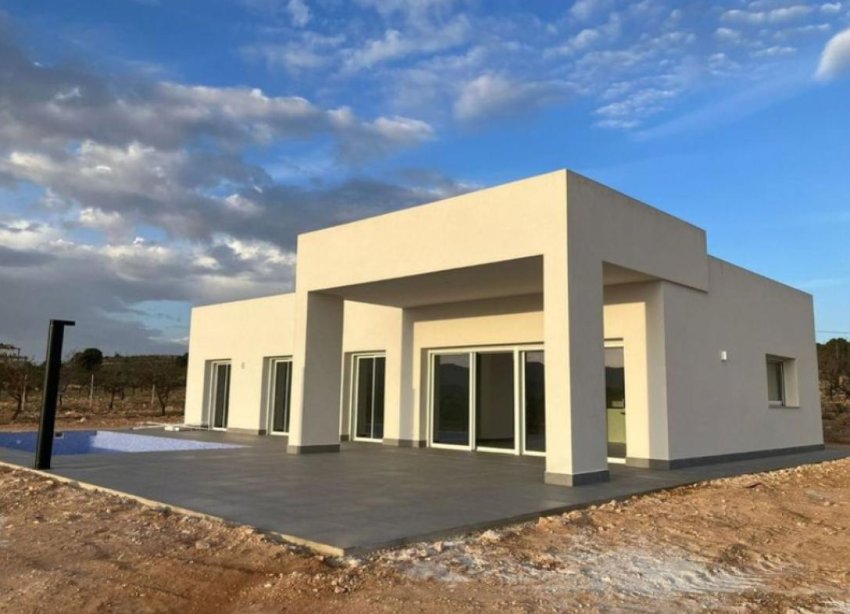 New Build - Villa - Pinoso