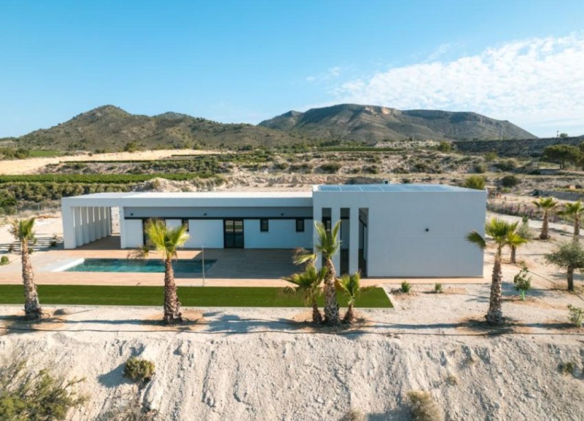 New Build - Villa - Pinoso