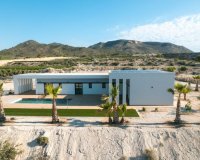 New Build - Villa - Pinoso