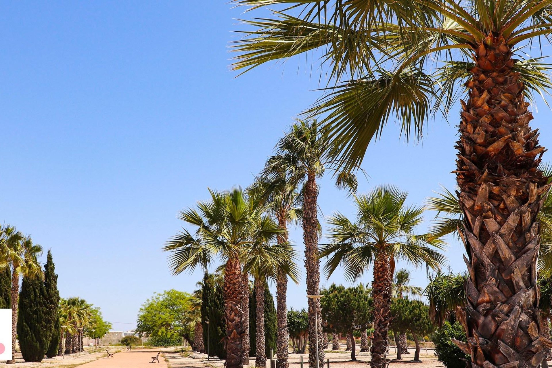 New Build - Villa - San Fulgencio - La Escuera