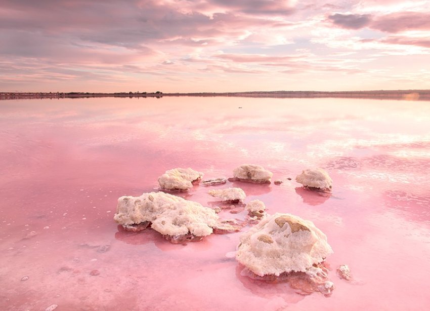 New Build - Villa - Torrevieja - La Hoya