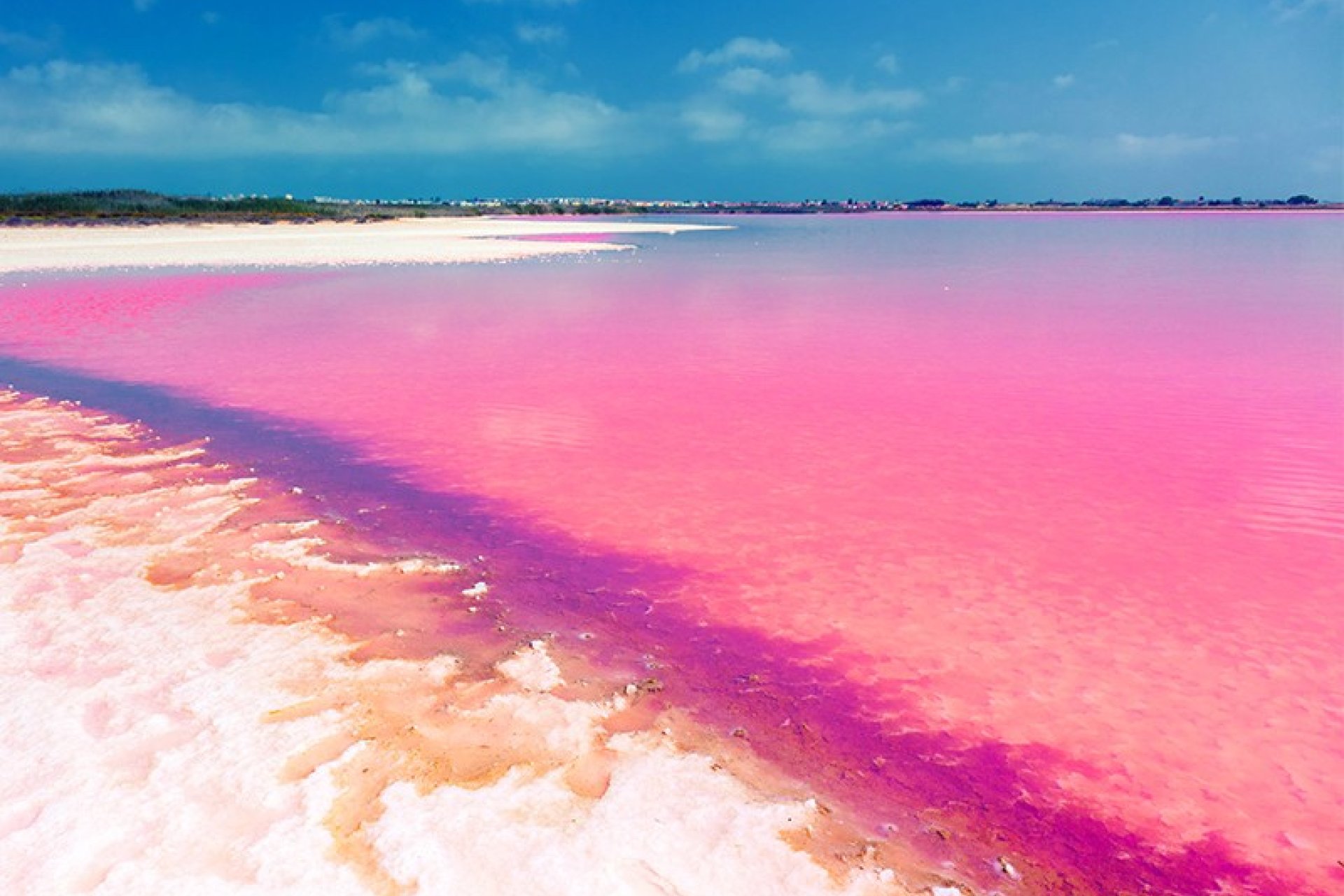 New Build - Villa - Torrevieja - La Hoya