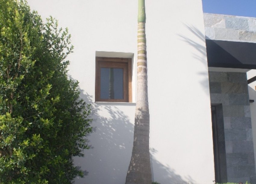 New Build - Villa - Torrevieja - Los Altos