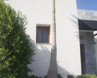 New Build - Villa - Torrevieja - Los Altos