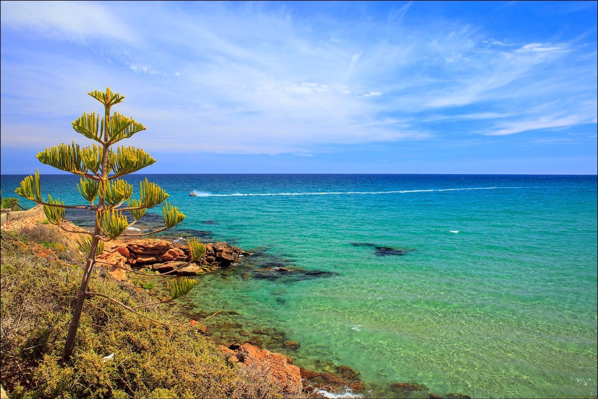 New Build - Villa - Torrevieja - Los Altos