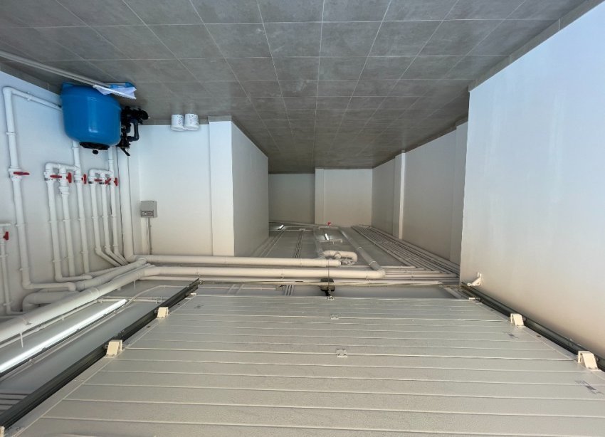 New Build - Villa - Torrevieja - Los Altos