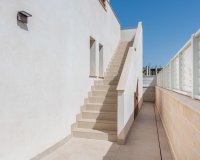 New Build - Villa - Vera - Vera Playa