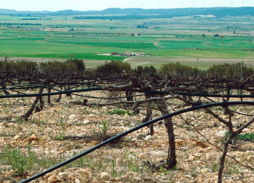 New Build - Villa - Yecla