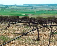 New Build - Villa - Yecla