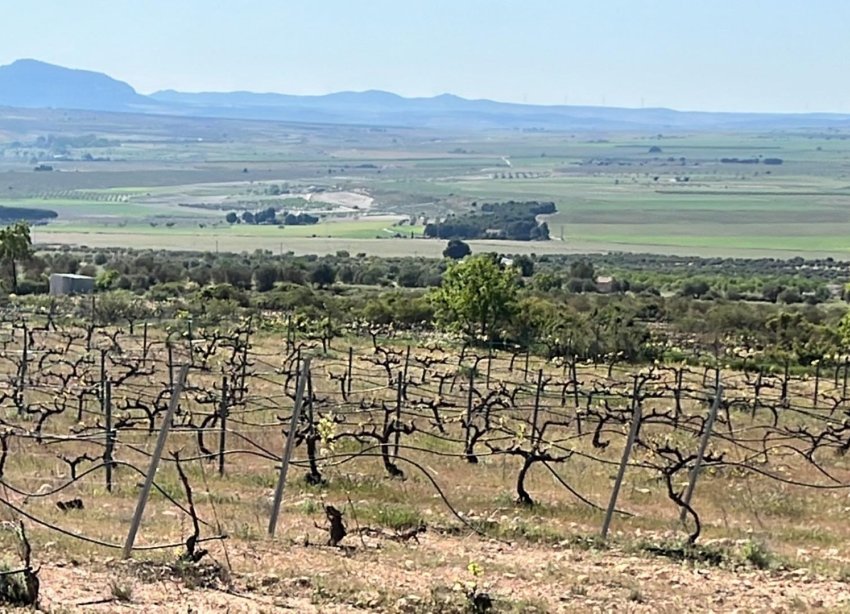 New Build - Villa - Yecla