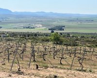 New Build - Villa - Yecla