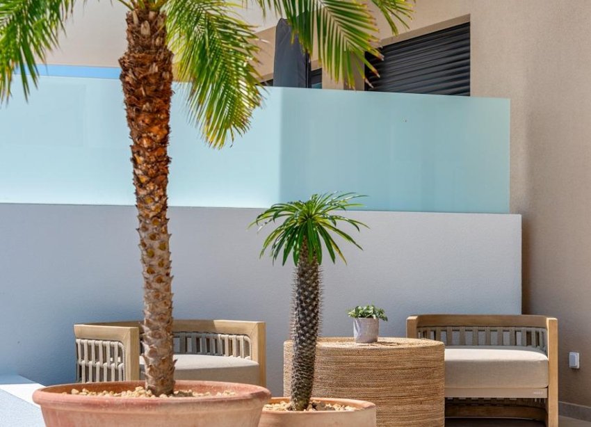 Obra nueva - Adosado - Dolores - Sector 3