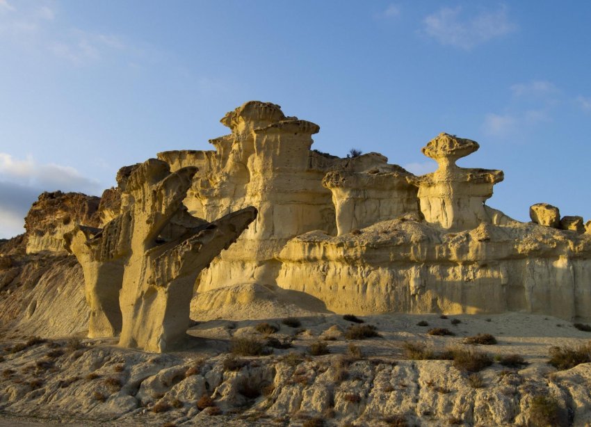 Obra nueva - Adosado - Fuente Álamo - La Pinilla