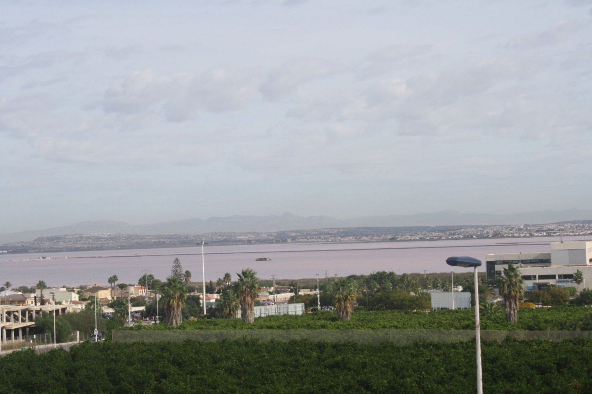 Obra nueva - Adosado - ﻿Torrevieja (Alicante) - Torrevieja