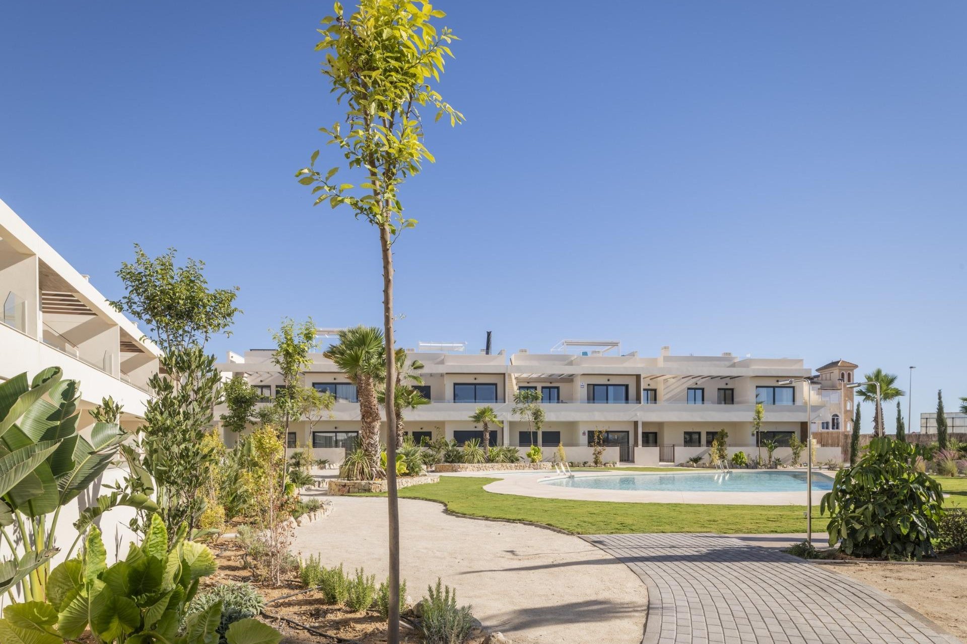 Obra nueva - Adosado - ﻿Torrevieja (Alicante) - Torrevieja