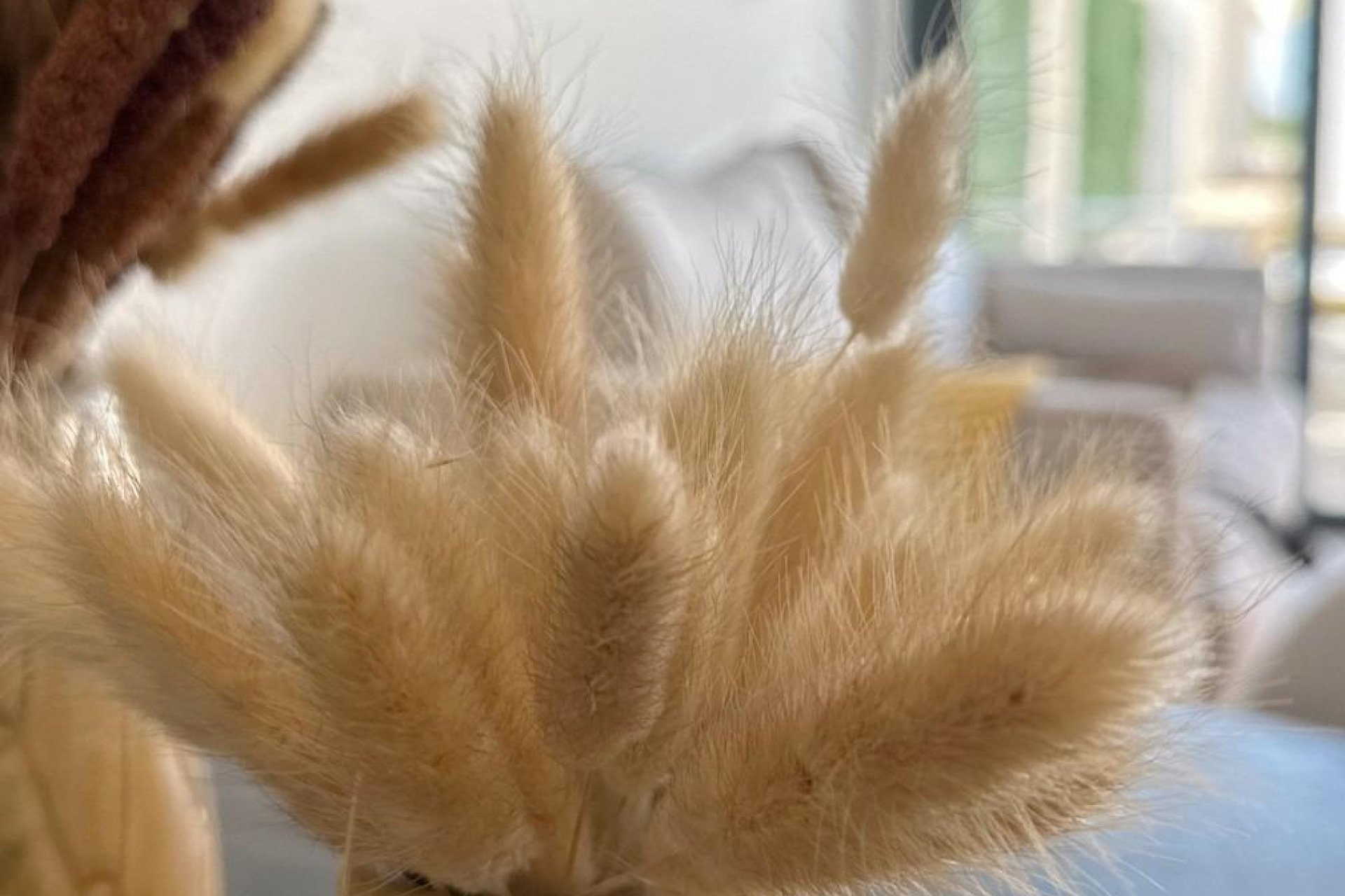 Obra nueva - Adosado - San Fulgencio - Pueblo